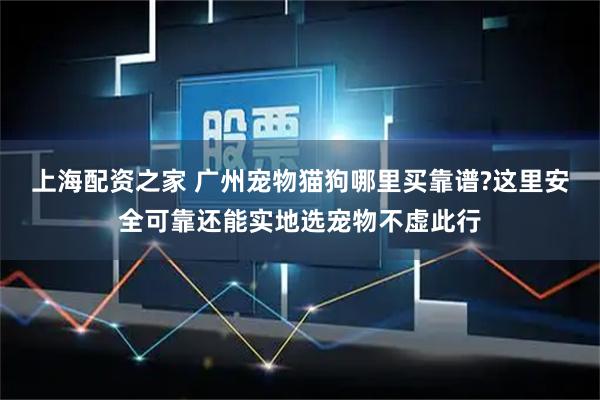 上海配资之家 广州宠物猫狗哪里买靠谱?这里安全可靠还能实地选宠物不虚此行